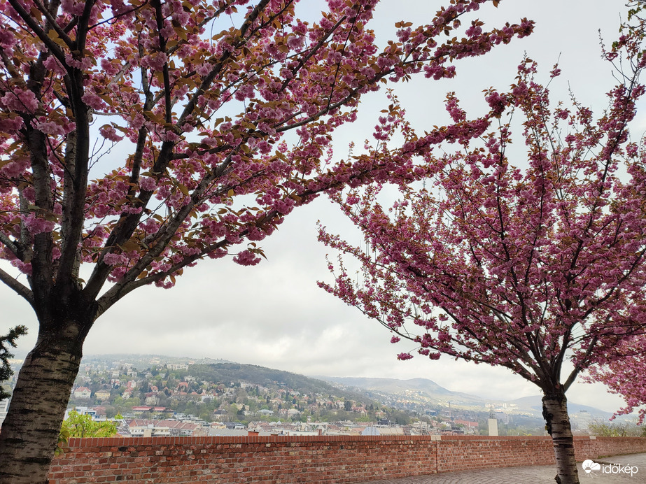 Budapest, Tóth Árpád sétányon