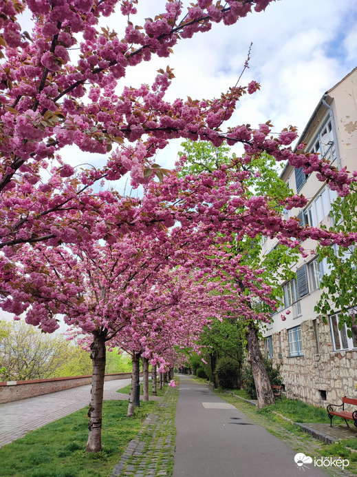 Budapest, Tóth Árpád sétányon