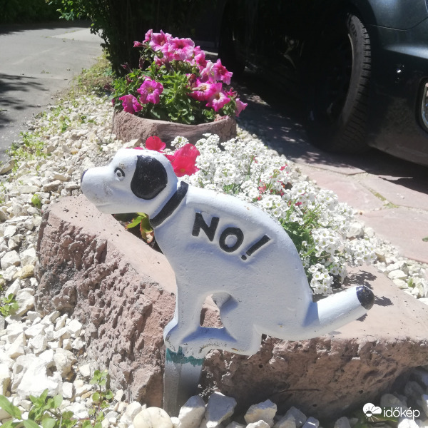 No dogs :)) 