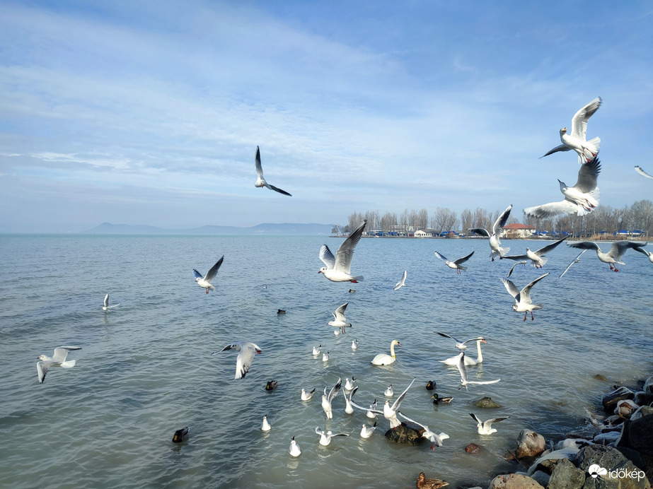 Balatonföldvár 