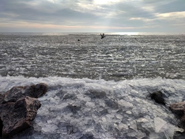 Balatonkenese 