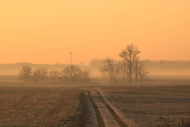 Merzse-mocsár reggel