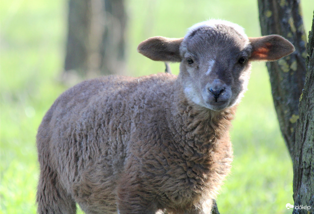 Reggeli találkozás :) 