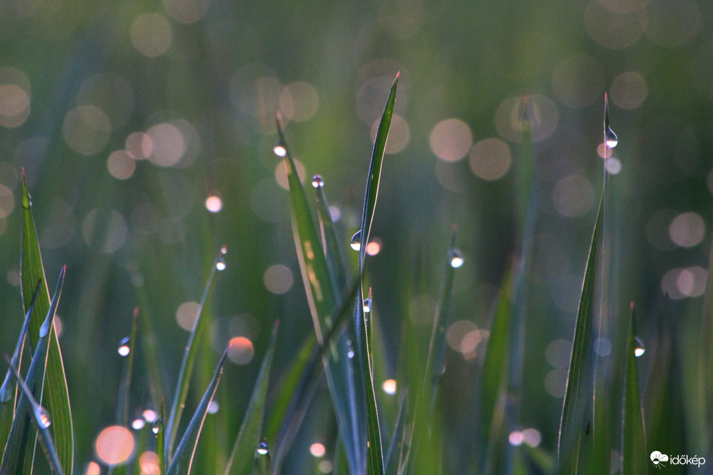 Eső után 