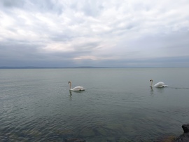 Siófok 