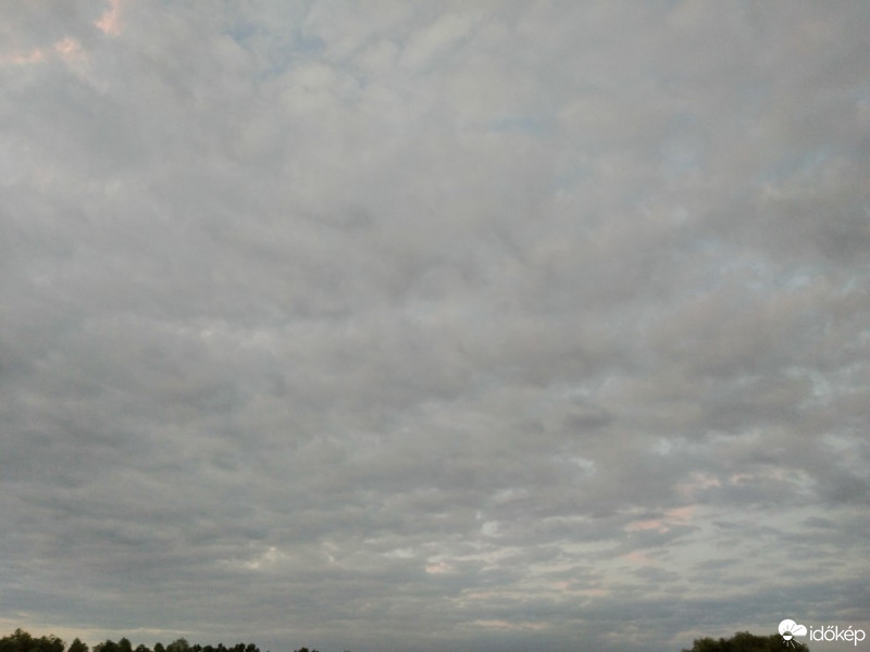 Kisbárapáti