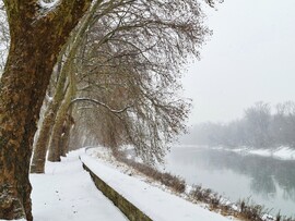 Hamvas Béla sétány hóesésben 