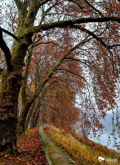 Hamvas Béla sétány Óbuda