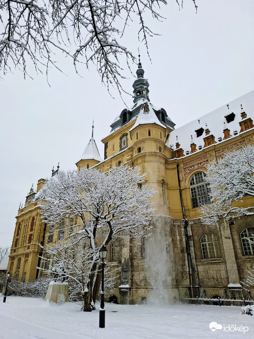 Hóomlás a tetőről - Vajdahunyad vár 