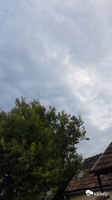 Abasár