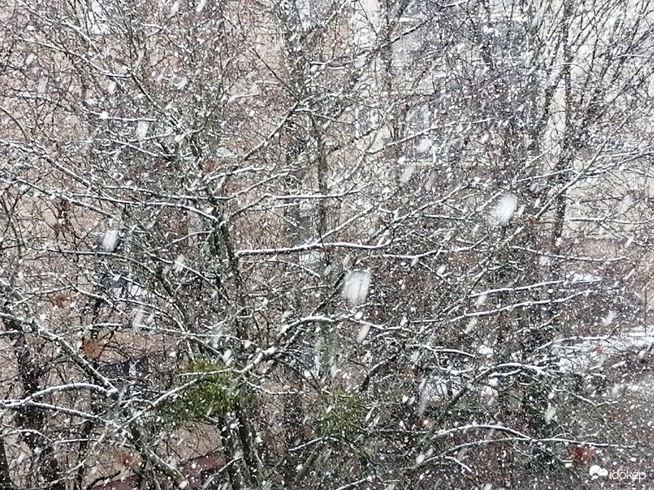 baloghnemsarolta fotója