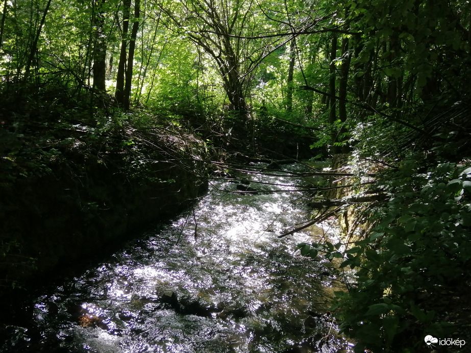 Vadregényes Garadna-patak