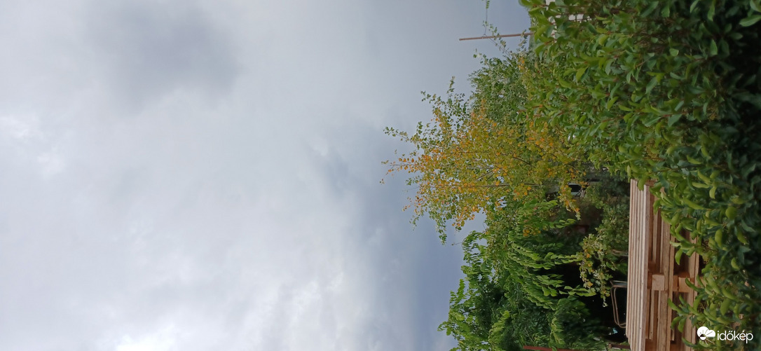Sülysáp