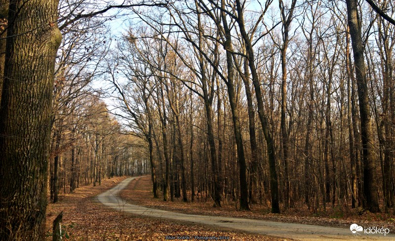 Út a karádi vadászházhoz - 2016.12.11.