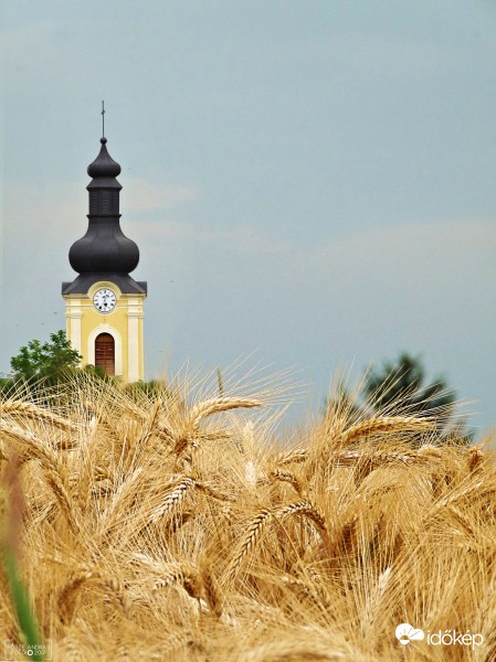 Aratásra várva...