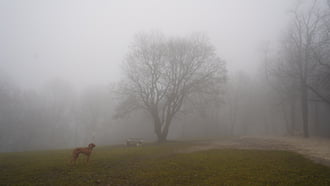 Vágni lehetett a ködöt :) 