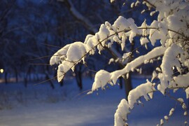 Végre jött egy hatalmas adag hó :)))