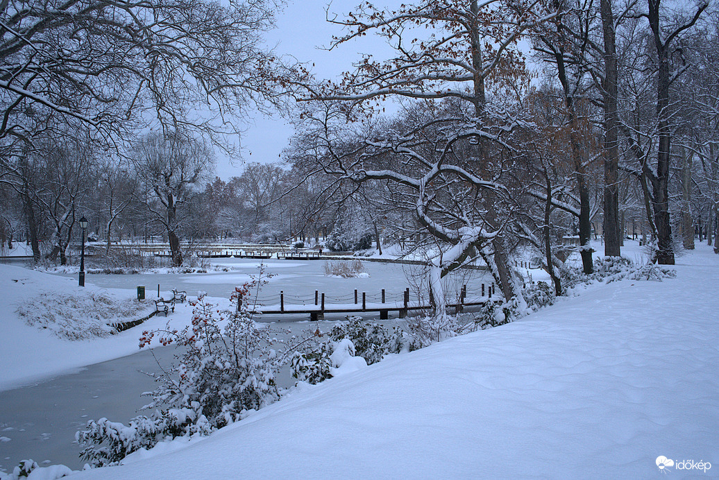 Leesett a Városligetben is