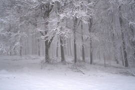 A hegyekben még van hó :)