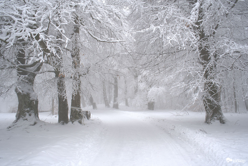 Hófehérbe öltözve