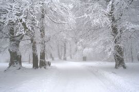 Hófehérbe öltözve