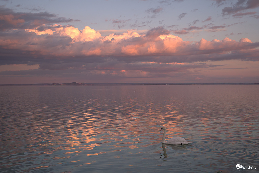 Rózsaszín álom :)))