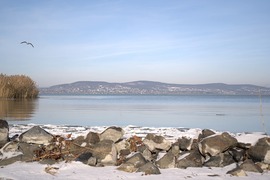 Tél a Balaton parján