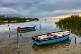 Balaton