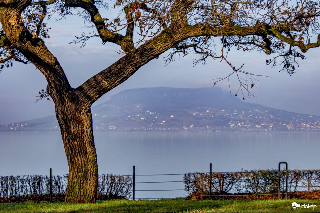 bankutileticia fotója