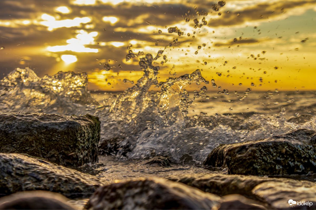 bankutileticia fotója