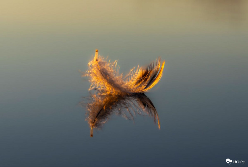 bankutileticia fotója