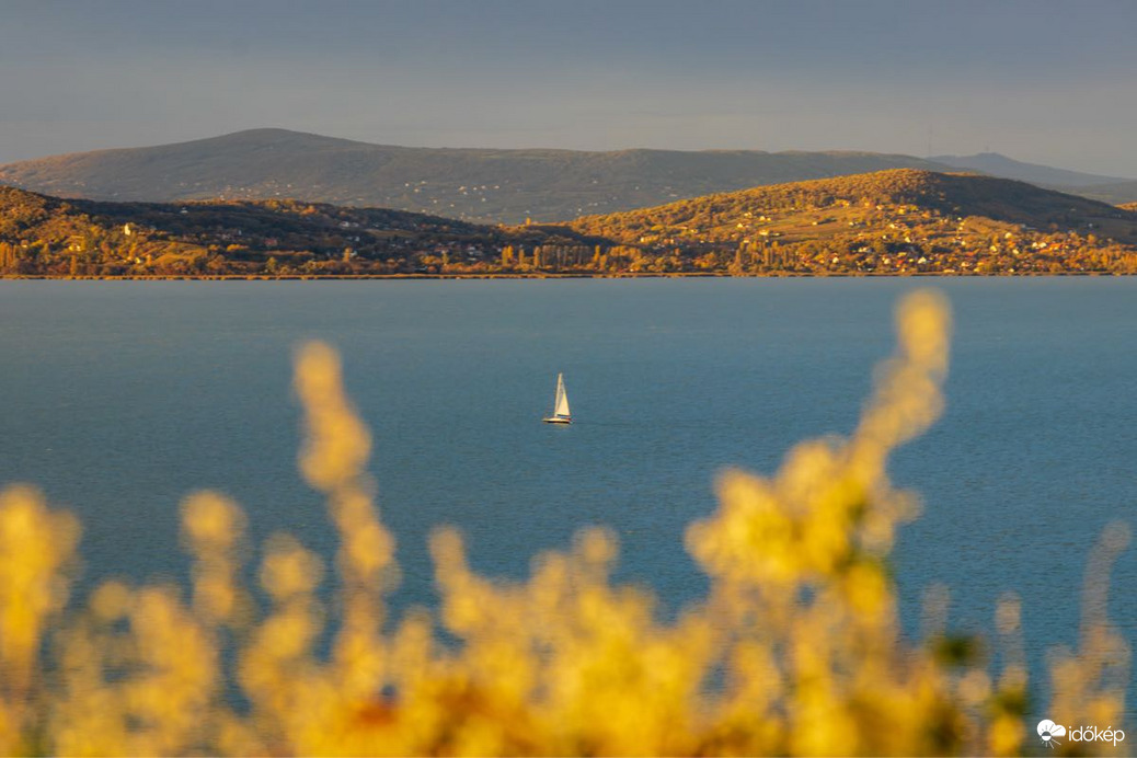 bankutileticia fotója