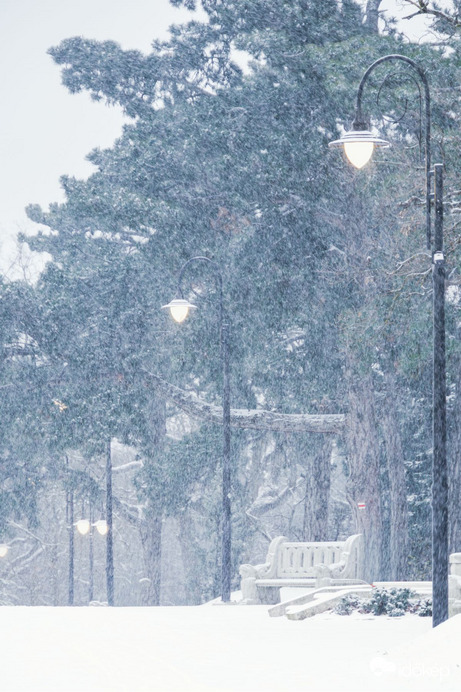 bankutileticia fotója