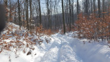 Hóbordák