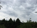 Bükkaranyos