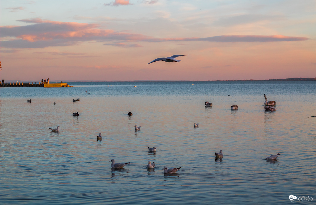 Balaton a naplementében 2016.11.20