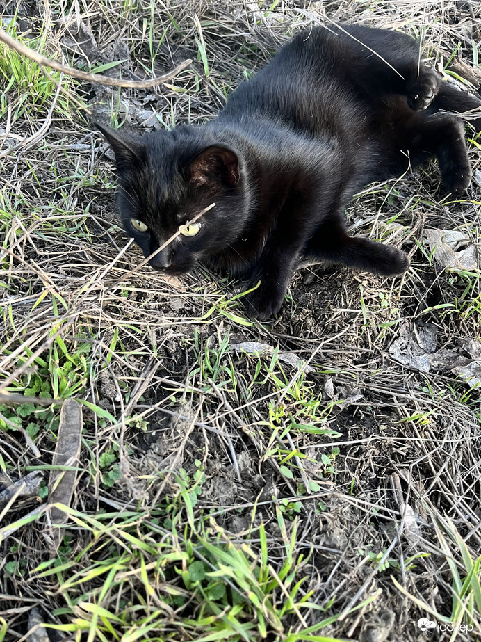 Vége a játéknak, megláttam egy kismadarat :)