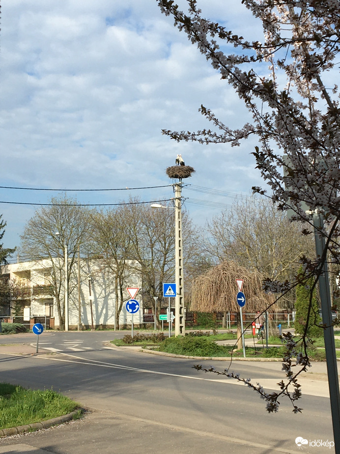 Nagy a szerelem❤️