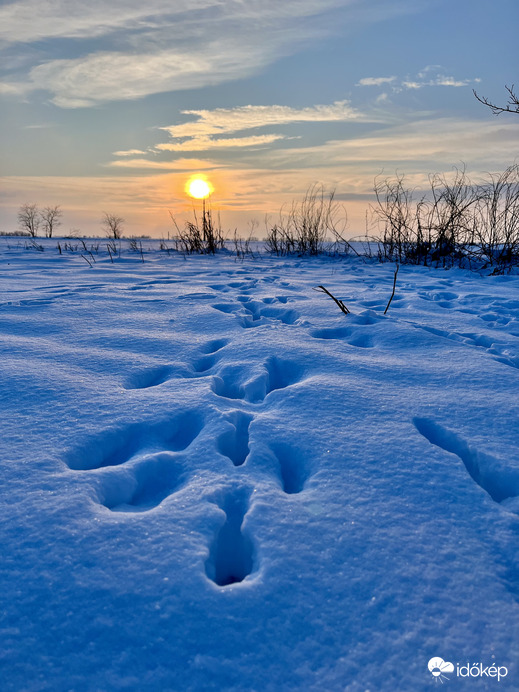 Nyomok a hóban