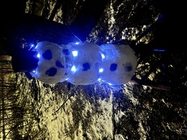 Nem tesz jót neki az eső