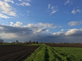 barlabasheni fotója