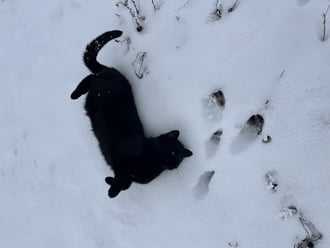 Elkísért fotózni :) 