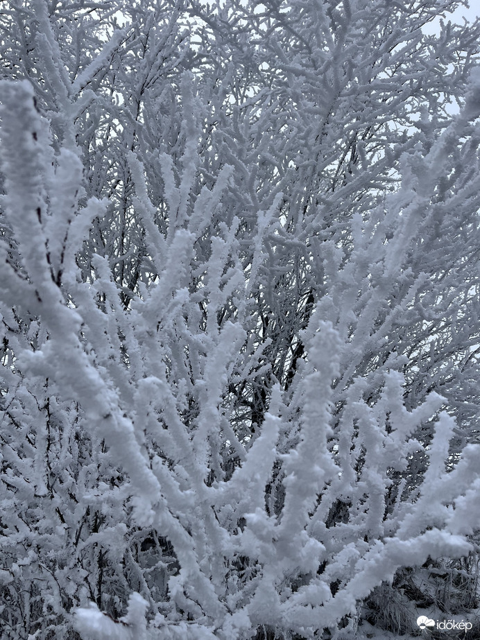 Vastag zúzmara réteg