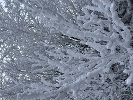 Vastag zúzmara réteg