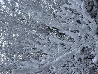 Vastag zúzmara réteg