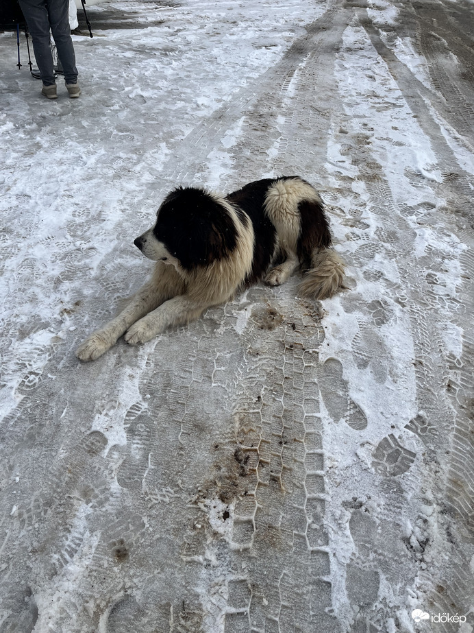 Elkísért túrázni :)