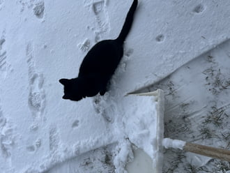 Tetszik ahogy dobod a havat :)