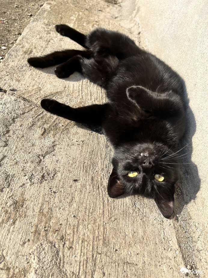 Élvezem a napsütést :) 