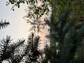 barlabasheni fotója