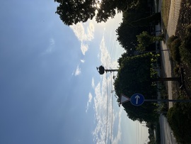 Hárman